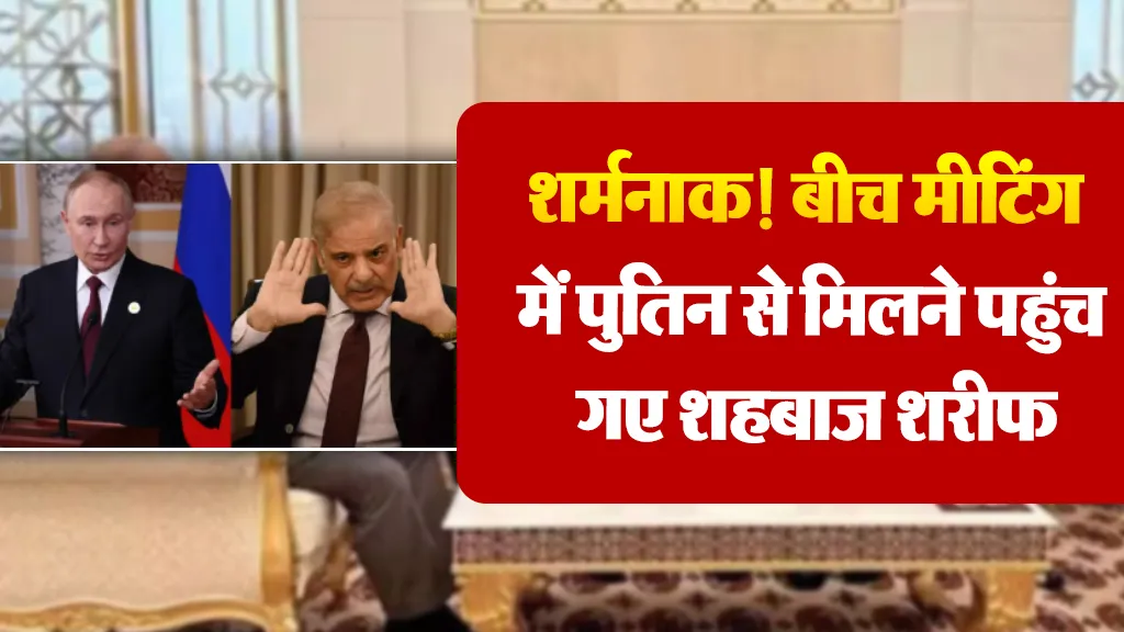 Putin Shehbaz Sharif Meeting (credit-sm)