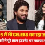 Celebs Year Ender 2025- Source : Social Media