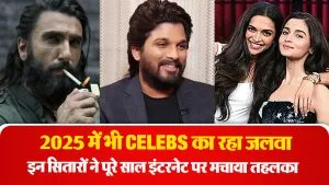 Celebs Year Ender 2025- Source : Social Media