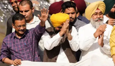 Punjab Nikay Chunav Result