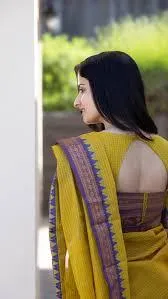 Simple Blouse Design for makar sankranti