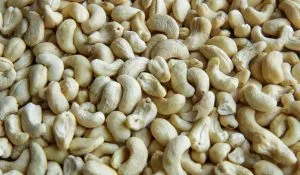 calories in 10 cashews