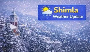 Shimla Kufri Snowfall Update