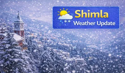 Shimla Kufri Snowfall Update