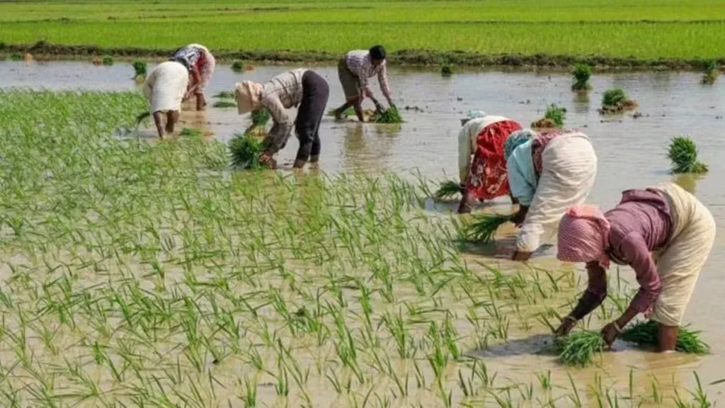 PM Kisan Yojana 22nd Kist Kab Ayegi