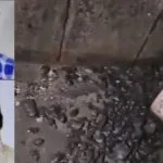 Jhansi Girlfriend Murder Case