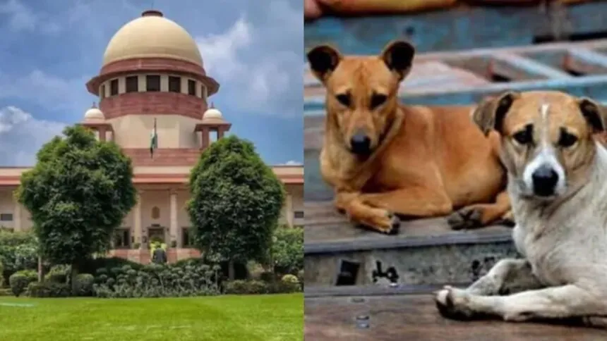 SC Hearing On Stray Dogs (Image- Social Media)