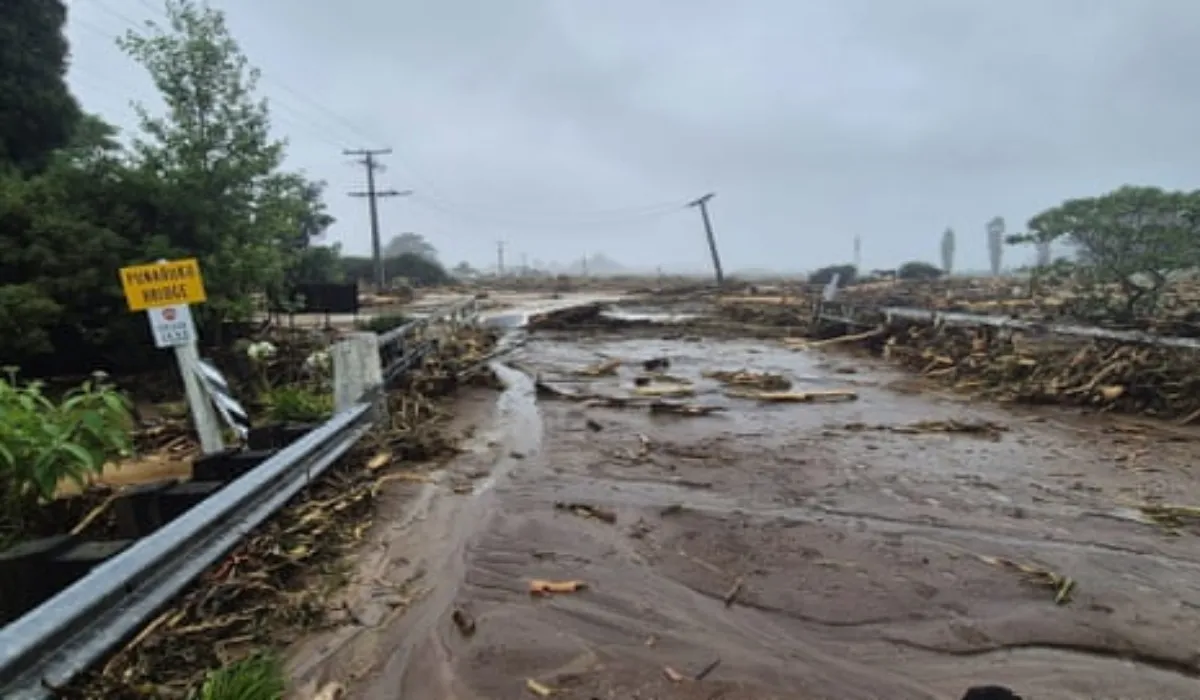 New Zealand Landslide