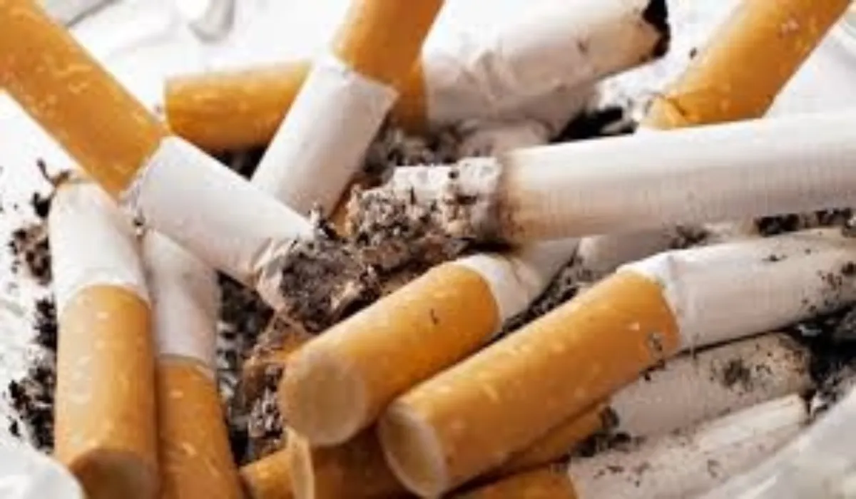 Odisha tobacco ban