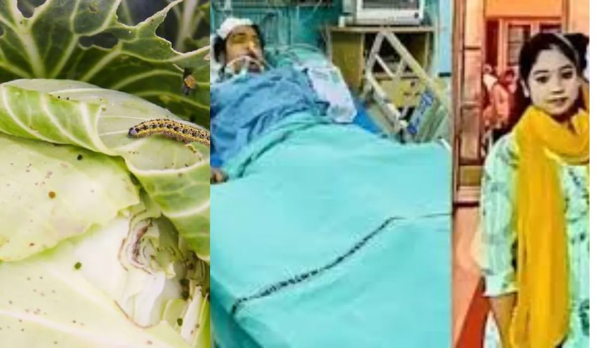 Is Cabbage Dangerous