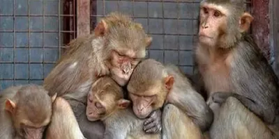China News