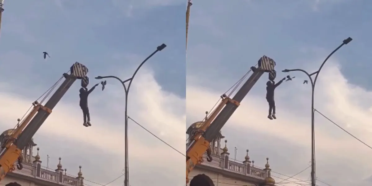 Punjab Viral Video (Image- Social Media)