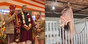 ‘7 इंटरनेशनल रेस का winner, 2.5 करोड़ कीमत…’, पूर्व सांसद बृजभूषण सिंह को  जन्मदिन पर मिला शाही घोड़ा जोहान्सबर्ग