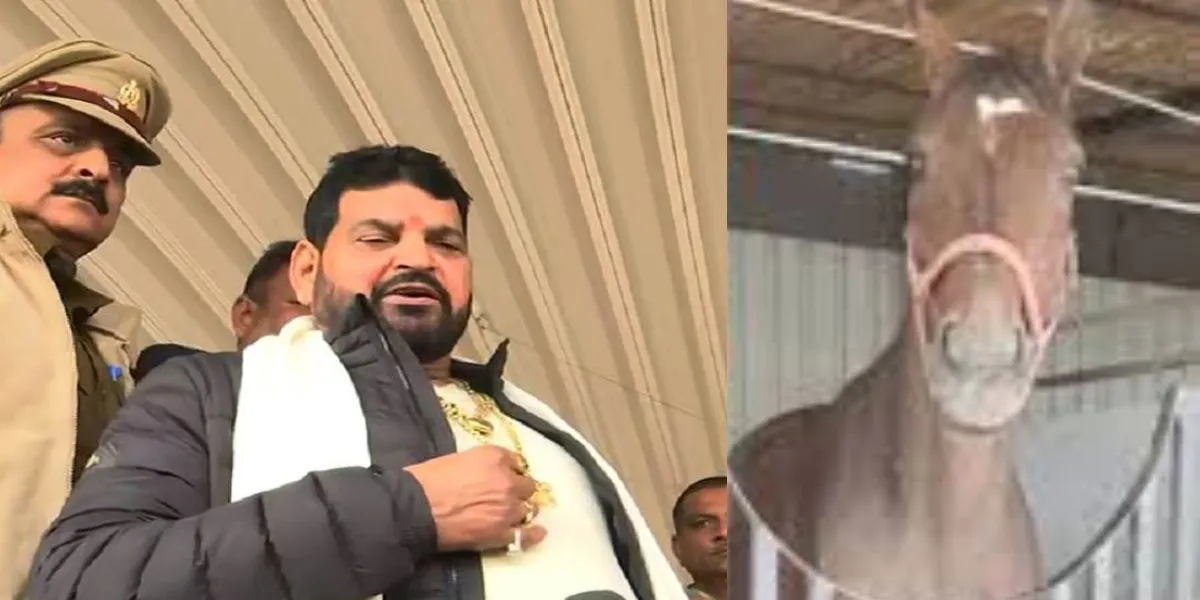 Brij Bhushan Singh 69th Birthday (Photo: Social media)
