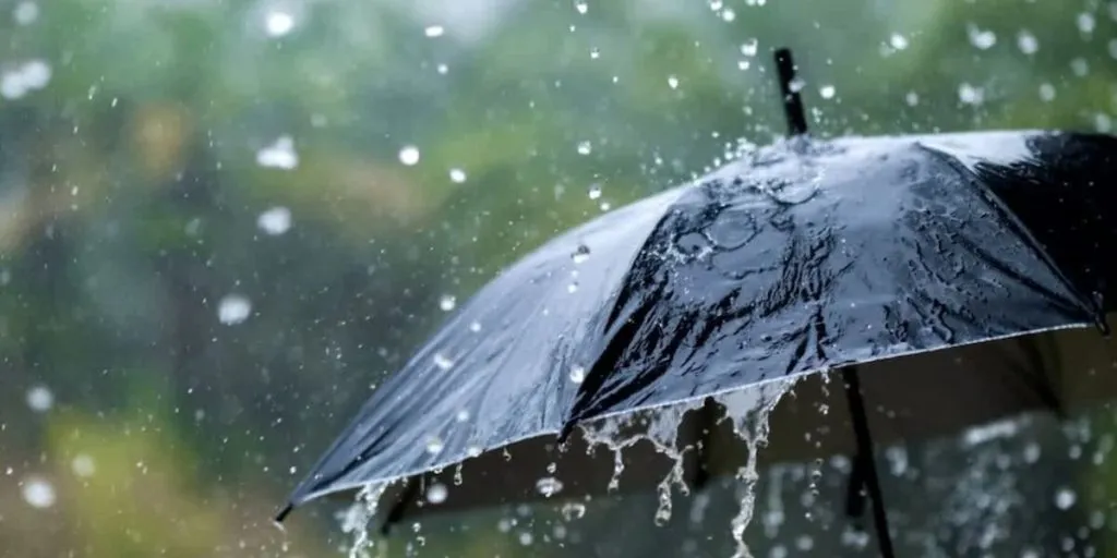 Heavy Rainfall Alert (Photo: Social media)