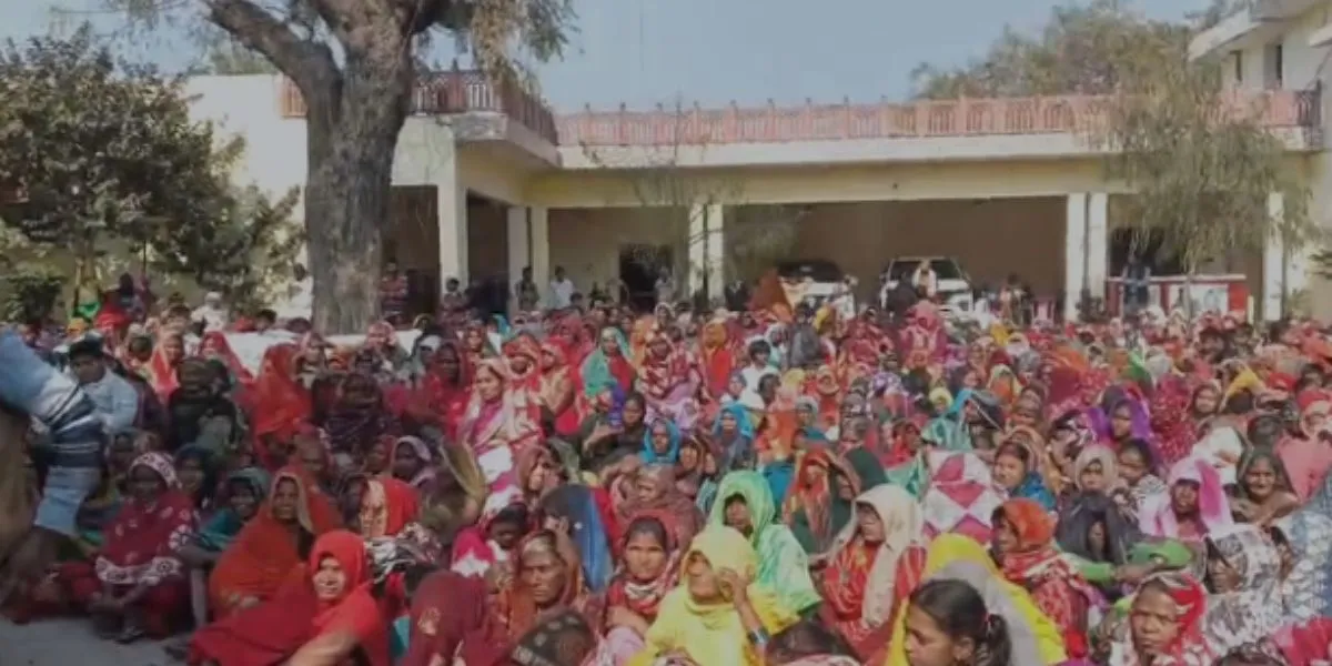 Makar Sankranti News