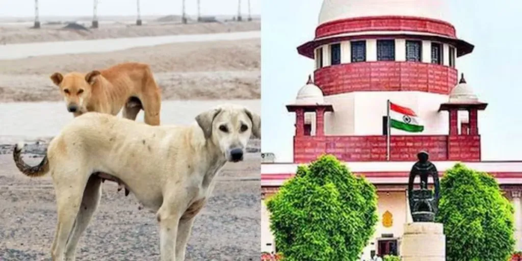 SC Hearing On Stray Dogs (Image- Social Media)