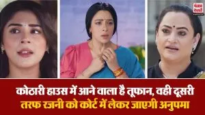 Anupama Spoiler 21 Jan( Source: Social Media)