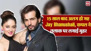 Jay Bhanushali Divorce