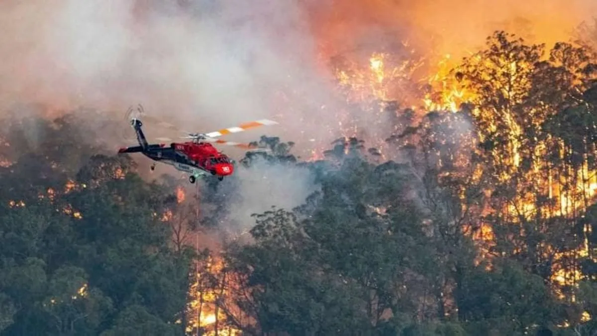Australia Forest Fire News