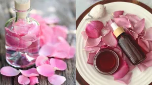 How to Apply Rose Water on Face