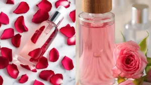 How to Use Gulab Jal on Face