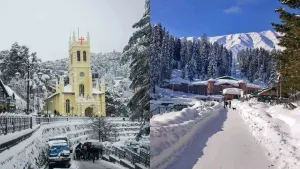 Shimla Kufri Snowfall Update