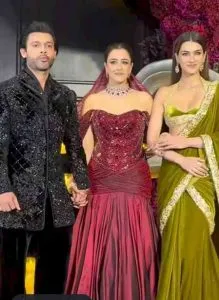Nupur Sanon Stebin Ben Reception