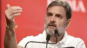Rahul Gandhi in Tamil Nadu (Photo: Social media)