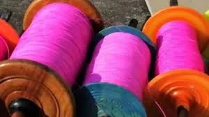 Karnataka kite String Death (Image- Social Media)