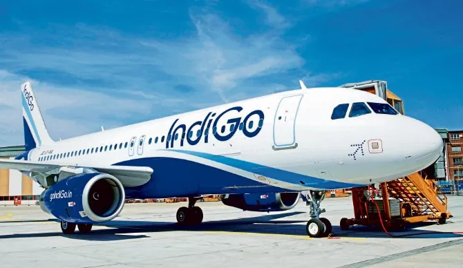 Indigo