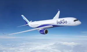 Indigo