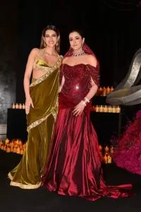 Nupur Sanon Stebin Ben Reception