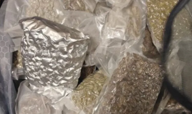 Mumbai Drug Syndicate Busted