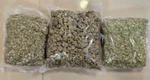 नशे के खिलाफ डीआरआई की बड़ी कार्रवाई, करोड़ों का माल जब्त, 10 गिरफ्तार