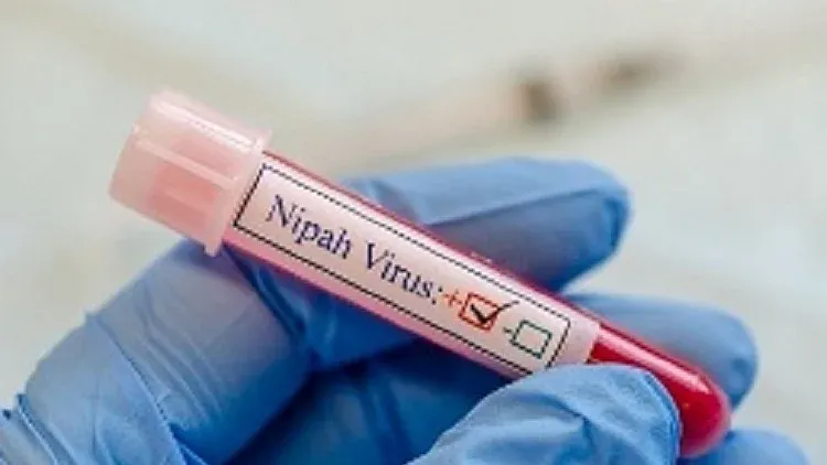 Nipah Virus Alert (Image- Social Media)