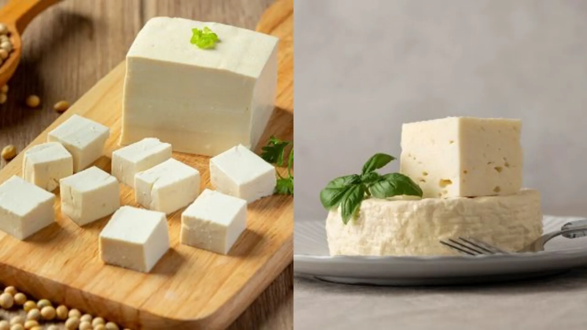 Tofu vs Paneer