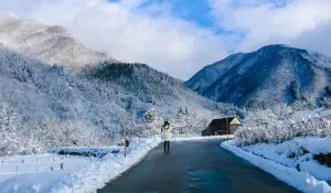 Himachal Pradesh Cold Wave Alert