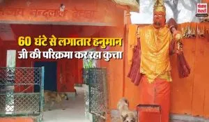 Bijnor Viral Dog Video