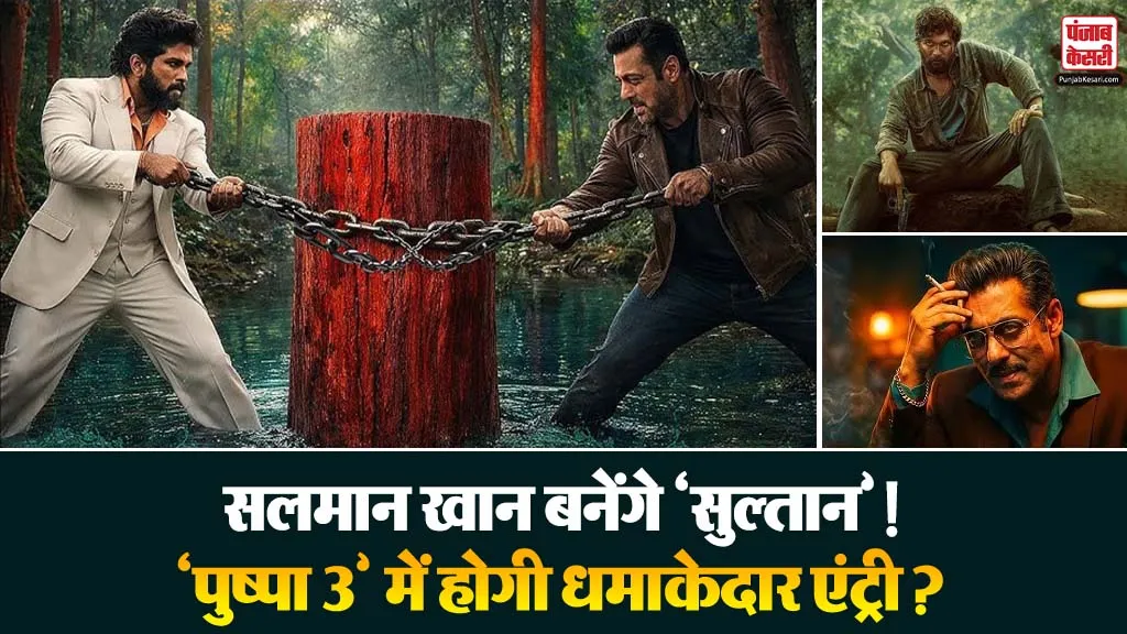 Salman Khan Pushpa 3
