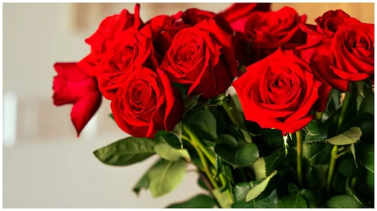 Happy Rose Day Shayari in Hindi (image S-M)

Happy Rose Day Shayari in Hindi (image S-M)