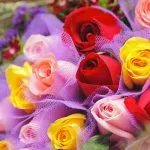 Rose Day Wishes Shayari in Hindi