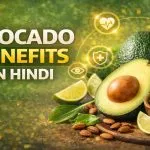 Avocado Benefits in Hindi