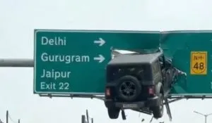 Thar Stuck in Highway Sign Board