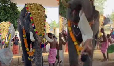 Elephant Attack in Thrissur Temple Festival