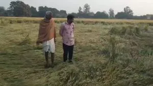 Madhya Pradesh Weather Alert