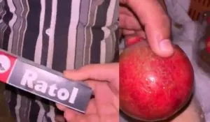 Mumbai Fruit Vendors Using Rat Poison