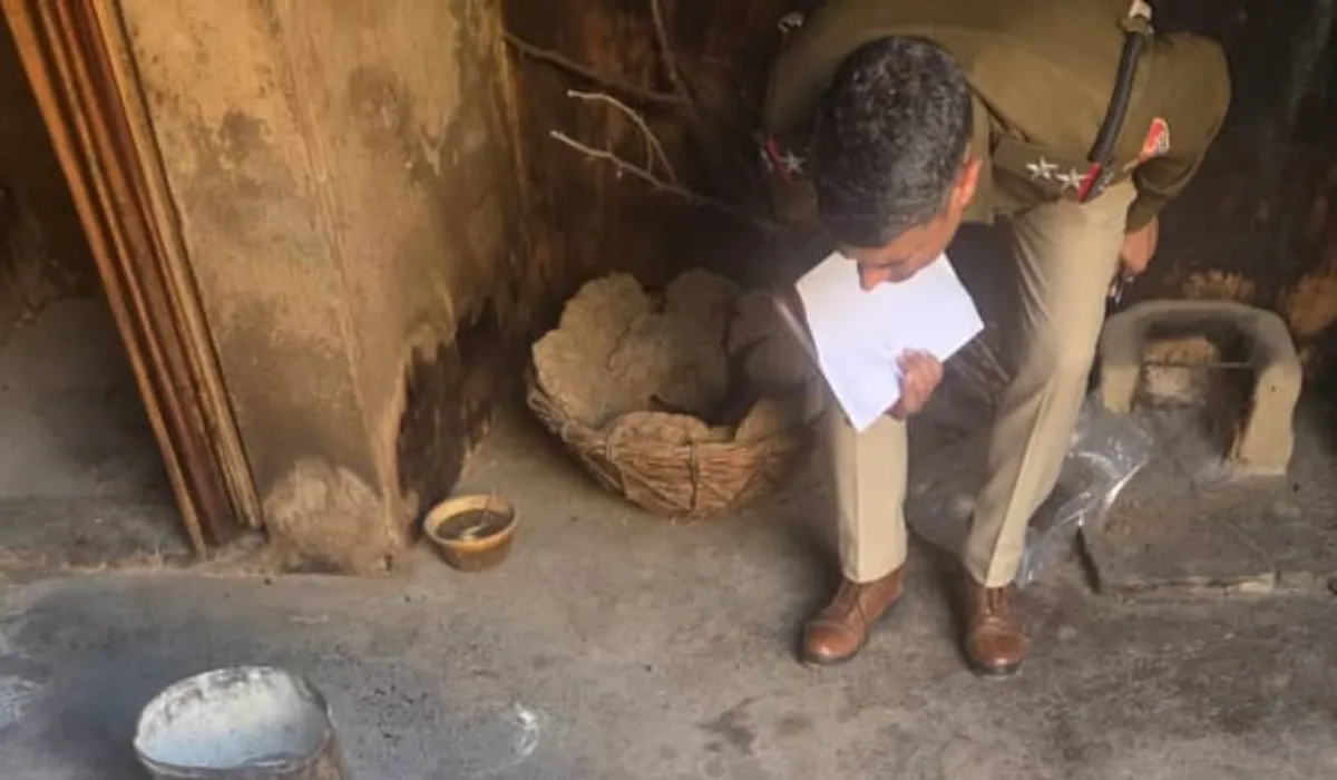 Rohtak Two Brothers Murder