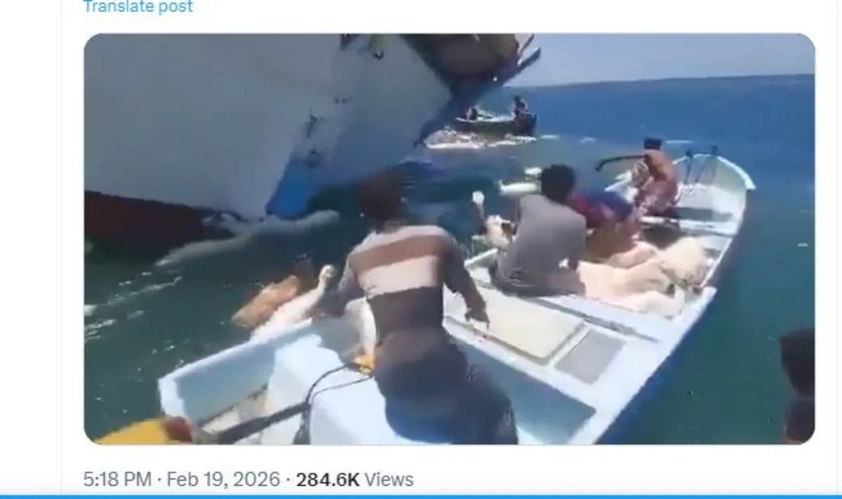 Ship Loaded With Sheep Viral Video