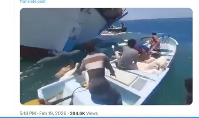 Ship Loaded With Sheep Viral Video